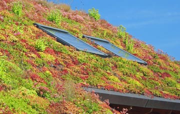Saltburn By The Sea living roof systems